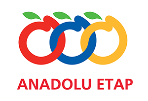 Anadolu Etap